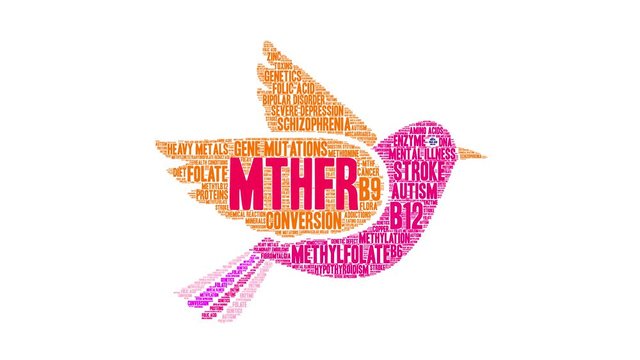 MTHFR Animated Word Cloud on a white background. 