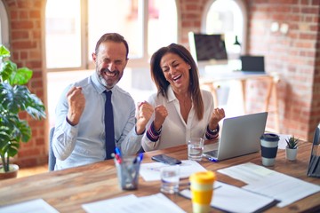 Middle age beautiful business workers working together using laptop at the office very happy and excited doing winner gesture with arms raised, smiling and screaming for success. Celebration concept.