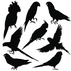 Obraz premium Parrots silhouettes. Vector illustration isolated on white