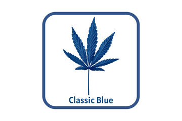 Hemp leaf close up. Marijuana drugs is produced from Cannabis leaf.