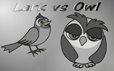 Early Lark versus Sleepy Owl - two chronotypes, vector clip art