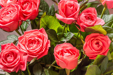 festive bouquet of pink roses