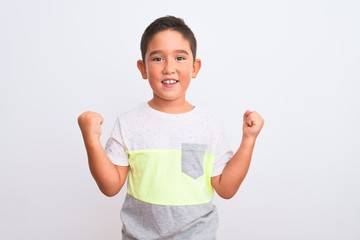 Beautiful kid boy wearing casual t-shirt standing over isolated white background celebrating surprised and amazed for success with arms raised and open eyes. Winner concept.