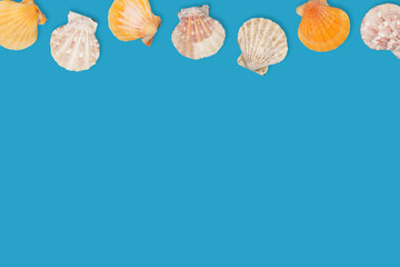 Sea pattern with sea shells, top view, flat lay. Summer concept. Different sea shells on blue background.