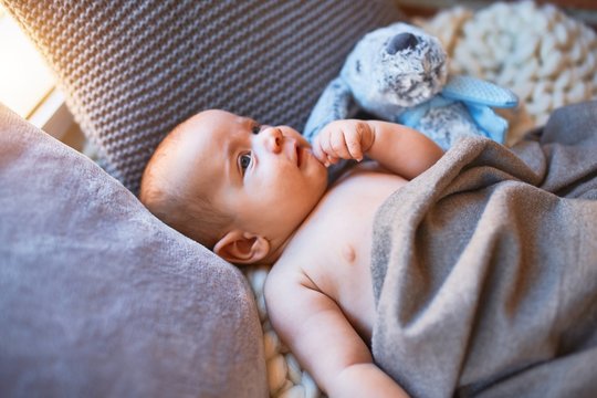 Adorable baby lying down on the sofa over blanket at home. Newborn relaxing and resting comfortable with doll