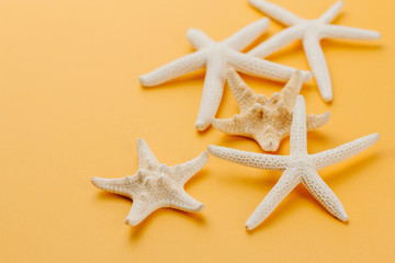 Fototapeta na wymiar Dry starfish on a yellow background copy space. Summer sea background with starfish.