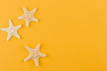  Dry starfish on a yellow background copy space. Summer sea background with starfish.