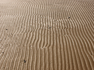 beautiful sand texture of wind, water and sand