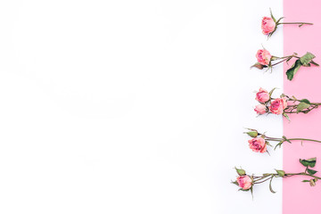 Frame of dried rose flowers on white and pink background. Flat lay, top view. Copy space for text.