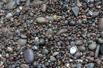 sea pebbles colored granite on the beach background stones.