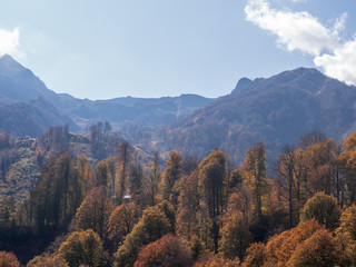 Autumn landscape with yellowed trees against the backdrop of blue sky mountains and clouds