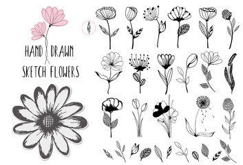 Beautiful big set of floral elements. 50 hand drawn doodle sketchy flowers, leaves, branches and berries. Vector for design cards, wedding invitations, poster, Birthday, Valentines Day greeting cards