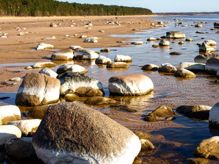 Fototapeta premium sunny landscape with rocky seashore, Vidzeme stony beach, Latvia