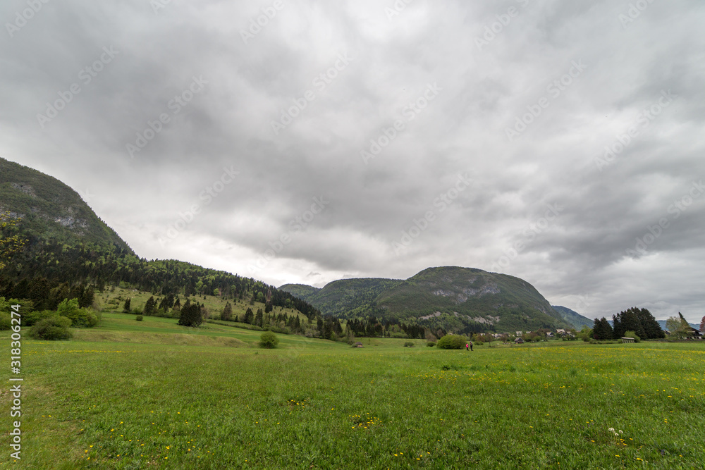 Wall mural alpine lawn near bohinj lake, slovenia