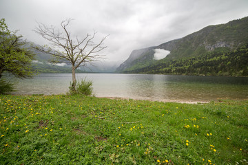 Beautiful landscape. Bohinj lake, Slovenia
