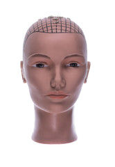 cosmetic mannequin head isolated on white background