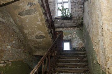 Destructive staircase with windows and walls covered with shrubs from the inside