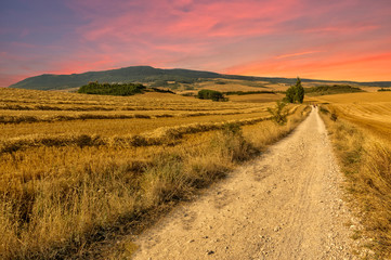 Obraz premium The road to Santiago in Navarra at dawn