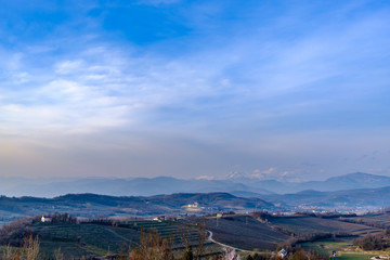 Spring sunset in the vineyards of Collio Friulano