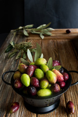 schüssel mit verschiedenen Oliven, letzte ernte der saison
