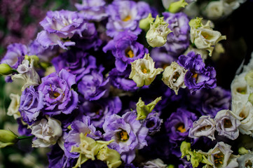 Beautiful bouquet of purple and green flowers in the transparent wrapping paper