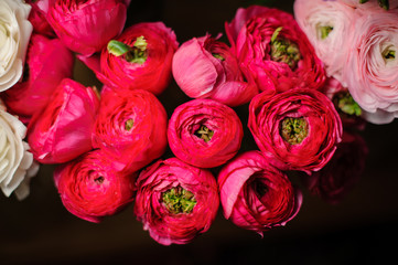 Beautiful bouquet of pink peony roses on the dark background