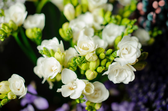 Beautiful spring bouquet of white freesia in the transparent wrapping paper