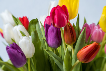 Bunter Tulpenstrauß