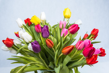 Bunter Tulpenstrauß
