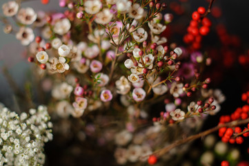 Spring bouquet of branches of red berries and tender rosy color flowers