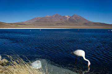 Laguna Ca&ntilde;apa
