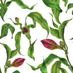 Watercolor bright seamless pattern with red alstroemeria buds and leaves