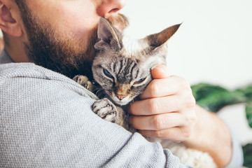 Close-up of handsome beard man holding cute purring cuddly cat. Muzzle of a glad and happy kitty. Gently petting little kitty. Sharing affection with cat. Breed with hypoallergenic fur, no shedding.