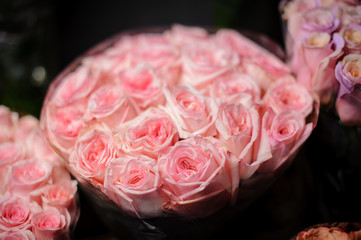 Beautiful bouquet of tender pink roses in the transparent wrapping paper