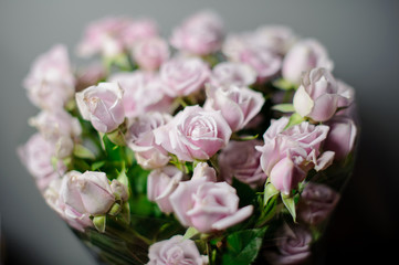 Beautiful bouquet of violet pink roses in the transparent wrapping paper