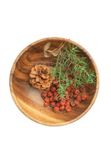Autumn composition. Ripe, red Rowan berries, pine cone, brush of Mature dry cherry fruits, sprig of prickly, needle-like, green juniper in wooden bowl. Still-life. Isolated on white background