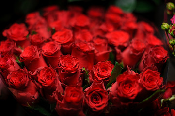 Beautiful bouquet of red color roses in the transparent wrapping paper