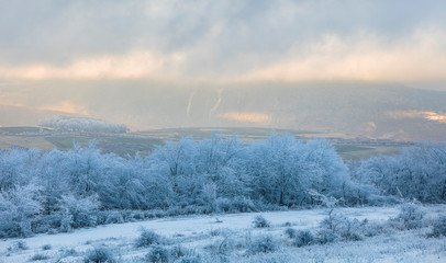 Trees covered with hoarfrost and ice in the mountains at sunset day