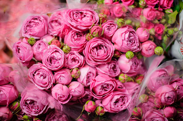 Obraz na płótnie Canvas Bouquet of pink peony roses with closed green buds in the transparent wrapping paper