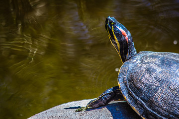 Should i go for a swim?