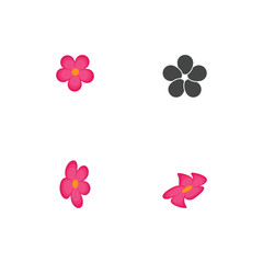Set Beauty icon flowers design illustration