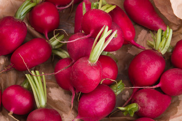 Pile of red ripe radishes, close-up. Heap of fresh clean raw vegetables ready for cooking.