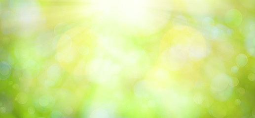 Fototapeta na wymiar Bright green spring or summer blurred background.