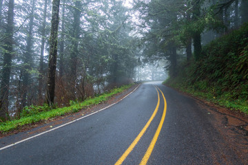 Fototapeta na wymiar Landscape of foggy road in the forests of Oregon