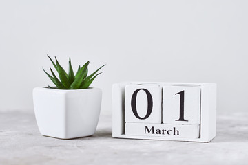 Wooden block calendar with date 1 march and plant on the table. Spring concept