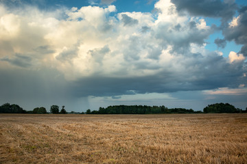 Fototapeta premium Cloud with rain over stubble field in Nowiny, Poland