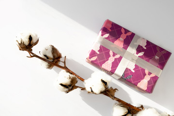 Cotton flower with a gift on a white background. Happy easter.