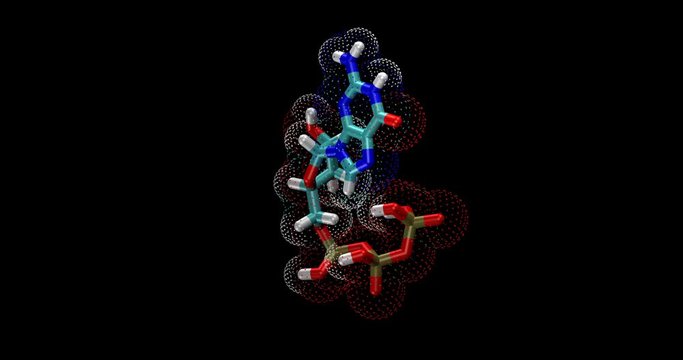 Guanosine triphosphate  (GTP)
