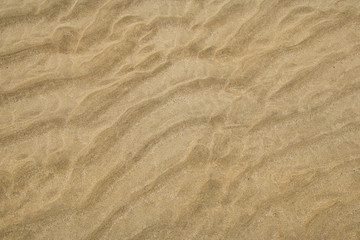 texture of ripples in the sand