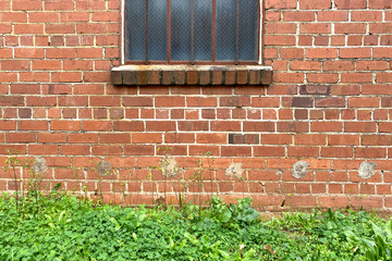 garden path wall grass rusted window